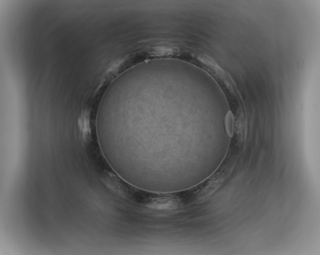 X0000112930516200908241303