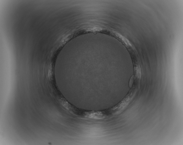 X0000112930517200908241303