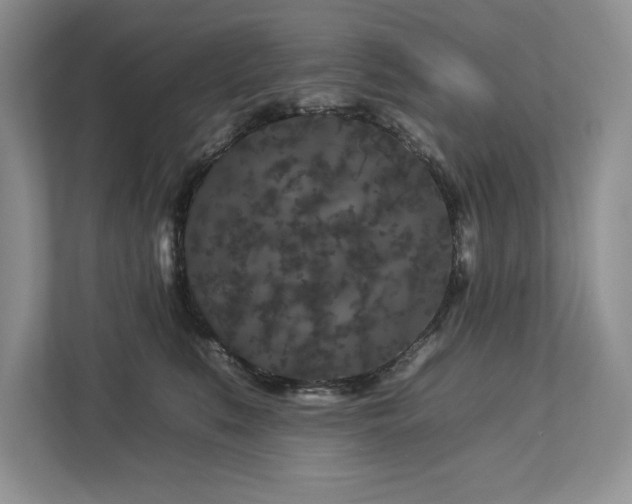 X0000112930519200908241303