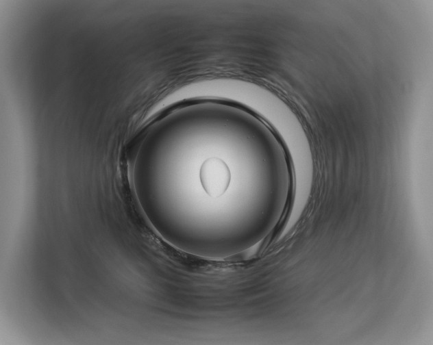 X0000112930520200908241303