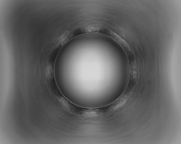 X0000112930523200908241303