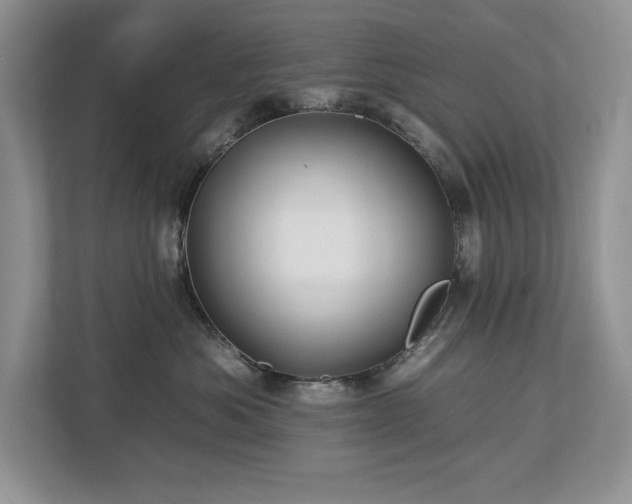 X0000112930525200908241303