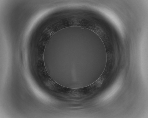 X0000112930526200908241303