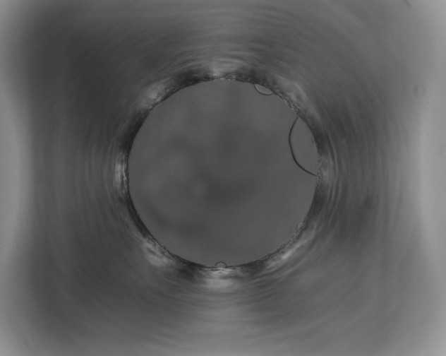 X0000112930527200908241303