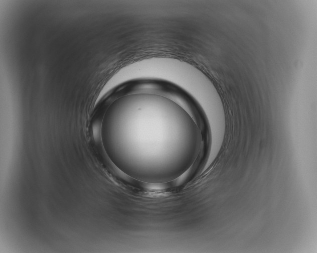 X0000112930528200908241303