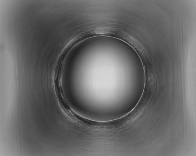 X0000112930530200908241302