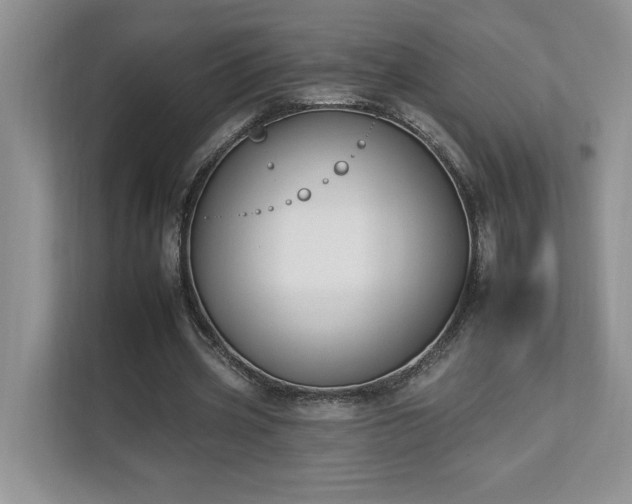 X0000112930533200908241302