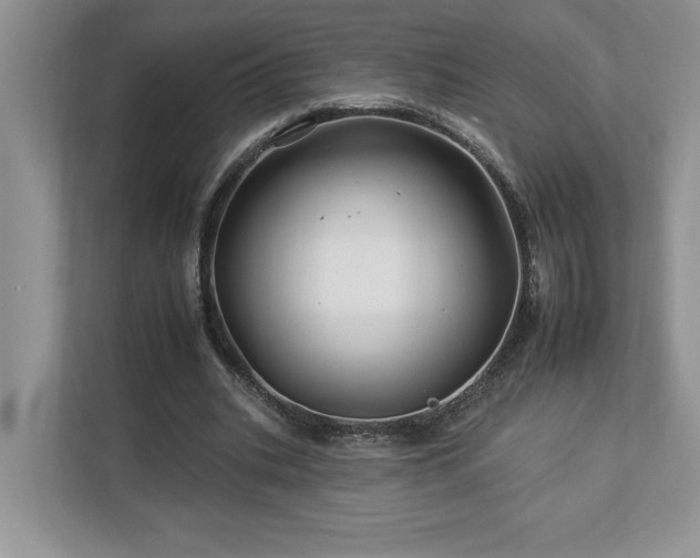 X0000112930535200908241302