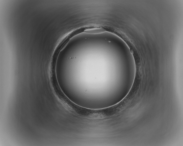 X0000112930536200908241302