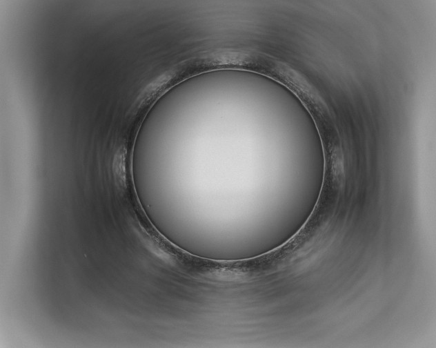 X0000112930537200908241302