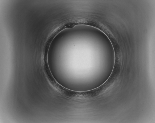 X0000112930538200908241302