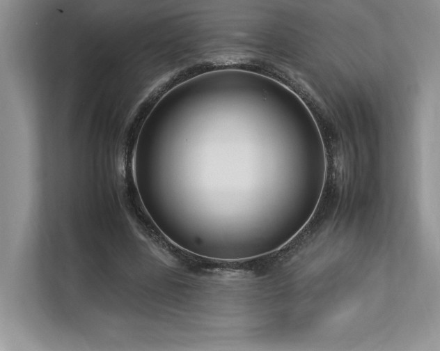 X0000112930539200908241302