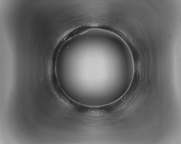 X0000112930540200908241302