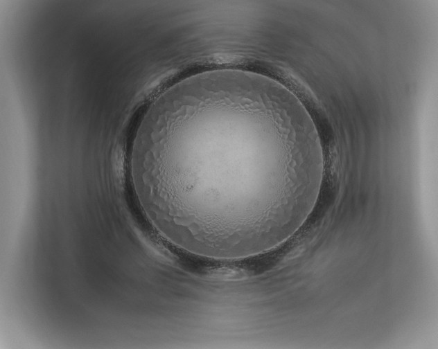 X0000112930542200908241302