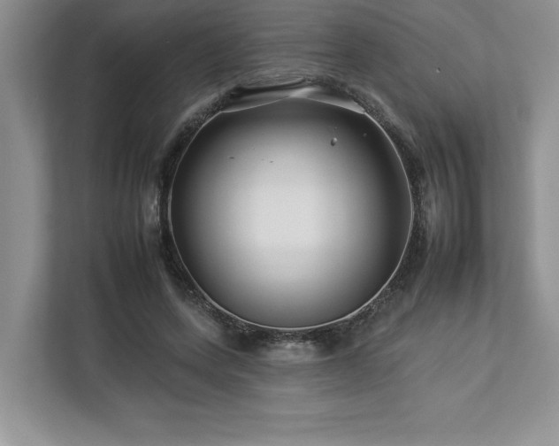 X0000112930543200908241302