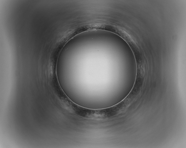 X0000112930546200908241302