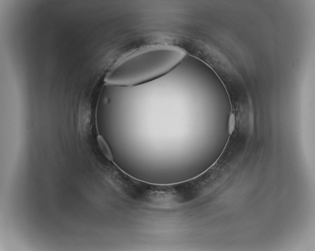 X0000112930548200908241302