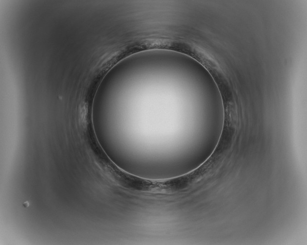 X0000112930550200908241302