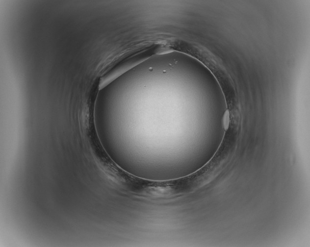 X0000112930552200908241302