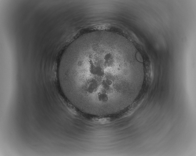 X0000112930553200908241302