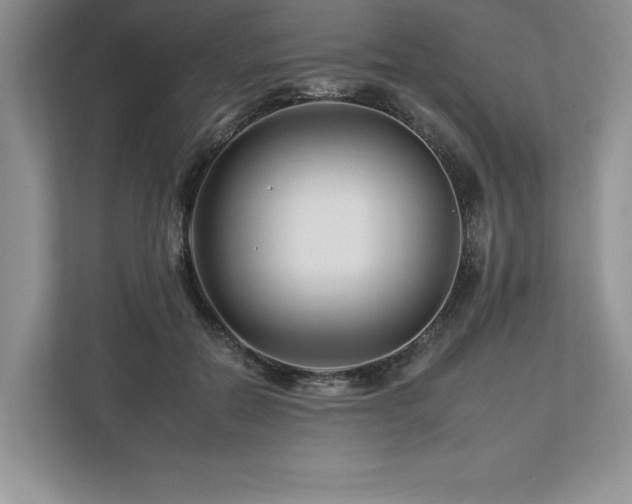 X0000112930554200908241302