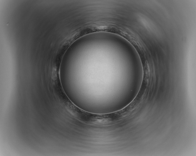 X0000112930555200908241302