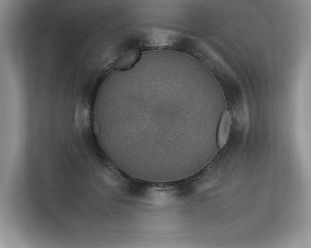 X0000112930556200908241302