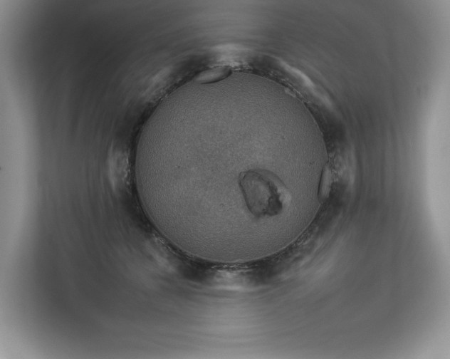 X0000112930560200908241302