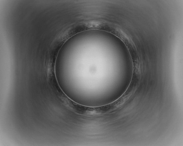 X0000112930561200908241302