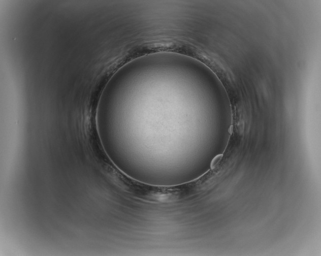 X0000112930563200908241302