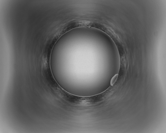 X0000112930564200908241302