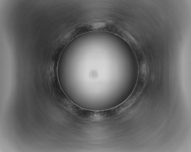 X0000112930565200908241302