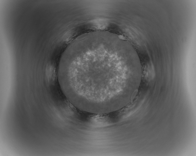 X0000112930568200908241302