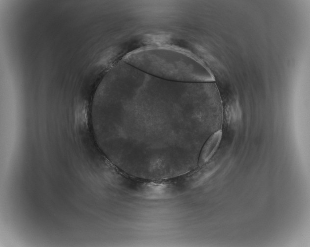 X0000112930570200908241303