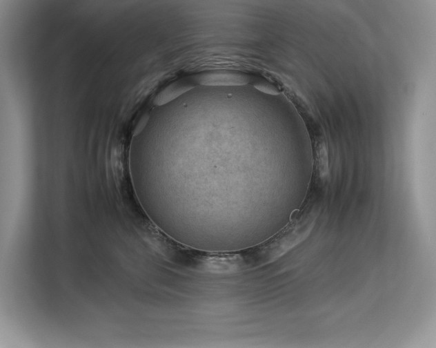 X0000112930571200908241303