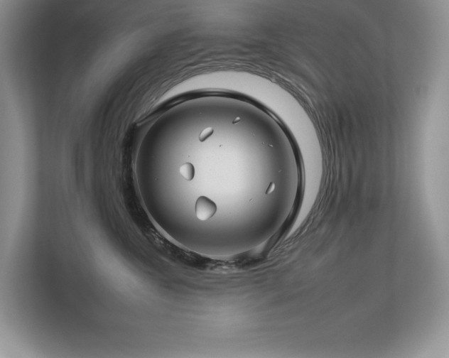 X0000112930572200908241303