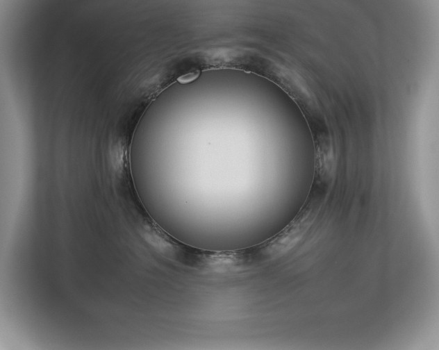 X0000112930574200908241303