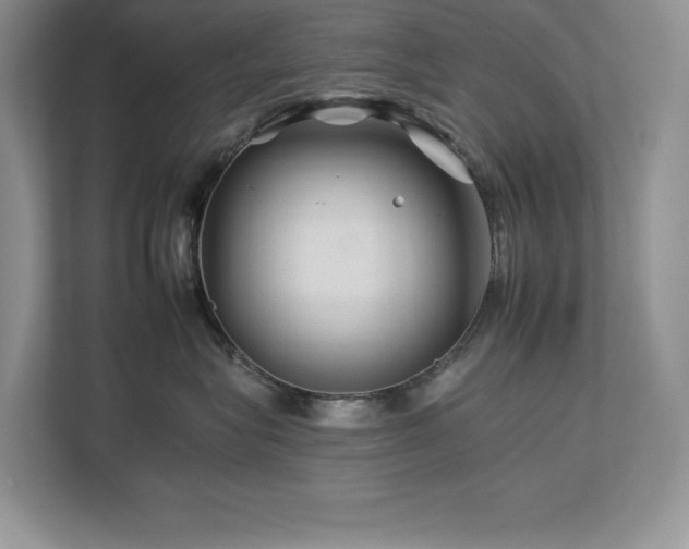 X0000112930575200908241303