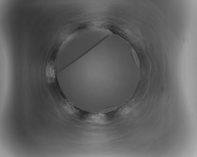 X0000112930576200908241303