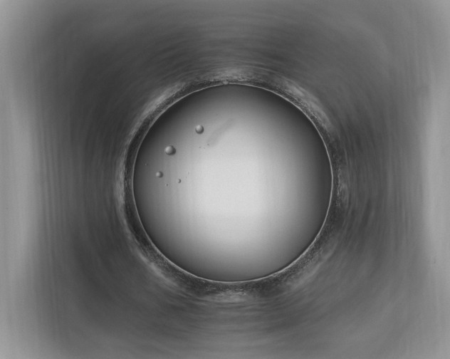 X0000112930578200908241302