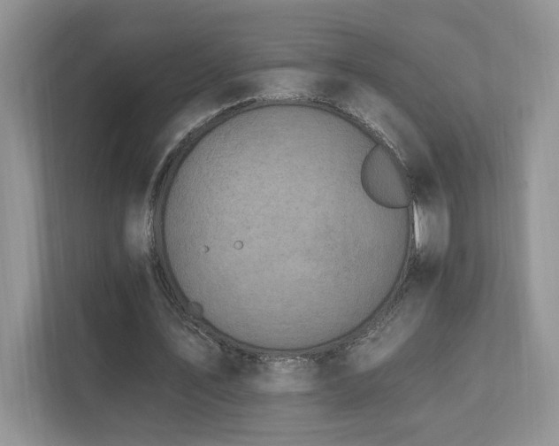 X0000112930579200908241302