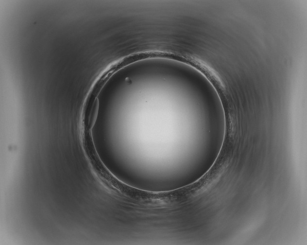 X0000112930580200908241302