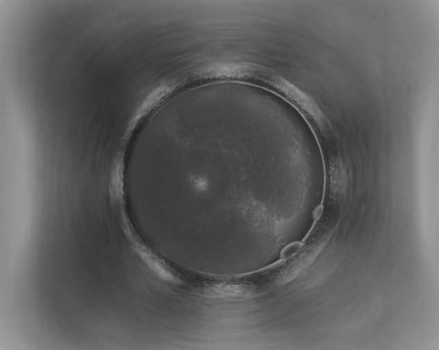 X0000112930581200908241302