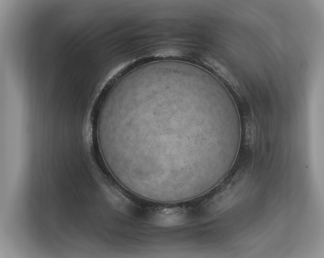 X0000112930584200908241302