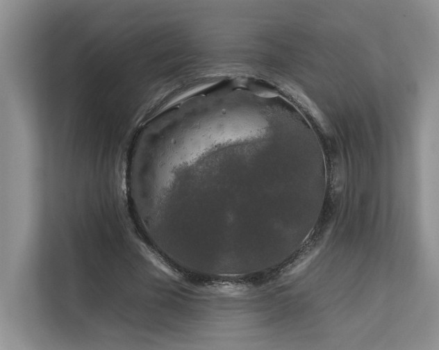 X0000112930585200908241302