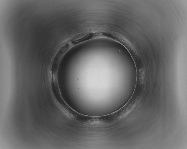 X0000112930589200908241302