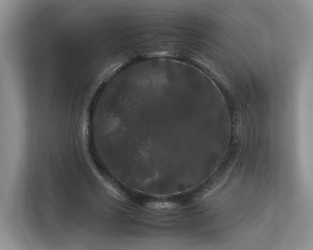 X0000112930590200908241302