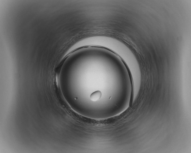 X0000112930593200908241302