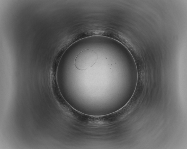 X0000112930594200908241302