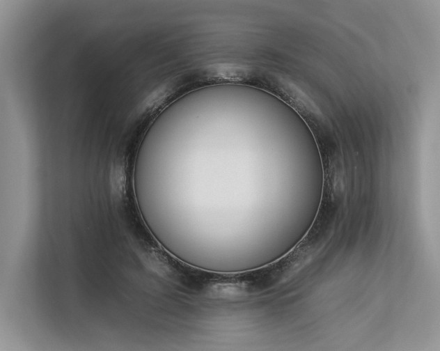 X0000112930595200908241302